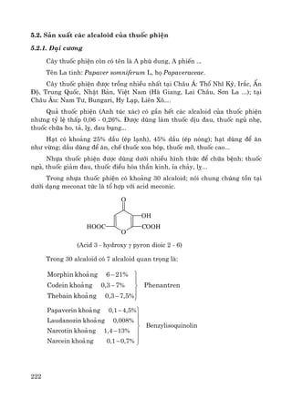 222
5.2. S¶n xuÊt c¸c alcaloid cña thuèc phiÖn
5.2.1. §¹i c−¬ng
C©y thuèc phiÖn cßn cã tªn lμ A phï dung, A phiÕn ...
Tªn La tinh: Papaver somniferum L, hä Papaveraceae.
C©y thuèc phiÖn ®−îc trång nhiÒu nhÊt t¹i Ch©u ¸: Thæ NhÜ Kú, Ir¾c, Ên
§é, Trung Quèc, NhËt B¶n, ViÖt Nam (Hμ Giang, Lai Ch©u, S¬n La ...); t¹i
Ch©u ¢u: Nam T−, Bungari, Hy L¹p, Liªn X«....
Qu¶ thuèc phiÖn (Anh tóc x¸c) cã gÇn hÕt c¸c alcaloid cña thuèc phiÖn
nh−ng tû lÖ thÊp 0,06 - 0,26%. §−îc dïng lμm thuèc dÞu ®au, thuèc ngñ nhÑ,
thuèc ch÷a ho, t¶, lþ, ®au bông...
H¹t cã kho¶ng 25% dÇu (Ðp l¹nh), 45% dÇu (Ðp nãng); h¹t dïng ®Ó ¨n
nh− võng; dÇu dïng ®Ó ¨n, chÕ thuèc xoa bãp, thuèc mì, thuèc cao...
Nhùa thuèc phiÖn ®−îc dïng d−íi nhiÒu h×nh thøc ®Ó ch÷a bÖnh: thuèc
ngñ, thuèc gi¶m ®au, thuèc ®iÒu hßa thÇn kinh, Øa ch¶y, lþ...
Trong nhùa thuèc phiÖn cã kho¶ng 30 alcaloid; nãi chung chóng tån t¹i
d−íi d¹ng meconat tøc lμ tæ hîp víi acid meconic.
O
O
HOOC
OH
COOH
(Acid 3 - hydroxy γ pyron dioic 2 - 6)
Trong 30 alcaloid cã 7 alcaloid quan träng lμ:
Phenantren
7,5%0,3ngkho¶Thebain
7%0,3ngkho¶Codein
21%6ngkho¶Morphin
⎪
⎭
⎪
⎬
⎫
−
−
−
uinolinBenzylisoq
0,7%0,1ngkho¶Narcein
13%1,4ngkho¶Narcotin
0,008%ngkho¶Laudanozin
4,5%0,1ngkho¶Papaverin
⎪
⎪
⎭
⎪
⎪
⎬
⎫
−
−
−
 