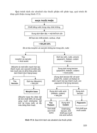 225
Qu¸ tr×nh t¸ch c¸c alcaloid cña thuèc phiÖn rÊt phøc t¹p, qu¸ tr×nh ®ã
®−îc giíi thiÖu trong h×nh 17.3.
H×nh 17.3. Qu¸ tr×nh t¸ch c¸c alcaloid cña thuèc phiÖn
nhùa thuèc phiÖn
ChiÕt b»ng n−íc trong m¸y ch©n kh«ng
Dung dÞch ®Ëm ®Æc + mét thÓ tÝch cån
§Ó lo¹i c¸c chÊt protein, carbua, nhùa
+ NH4OH 25%
SÏ cã tña morphin vμ narcotin kh«ng tan trong cån, n−íc
Tña
morphin vµ narcotin
+ Acid acetic
DÞch läc (cån, n−íc, amoni)
papaverin, thebain, codein
+ benzen
(Morphin lμ mét kiÒm m¹nh h¬n t¹o
thμnh muèi, cßn narcotin lμ kiÒm yÕu
h¬n muèi cña nã dÔ bÞ thñy ph©n nªn
t¸ch thμnh tña ë d¹ng base)
Dung dÞch trong benzen
(papaverin, thebain, codein)
+ Acid acetic
(Dung dÞch benzen l¾c víi acid
acetic 5%, codein vμ thebain lμ
kiÒm m¹nh h¬n t¹o thμnh muèi, cßn
papaverin ë l¹i trong benzen).
Tña
Narcotin
DÞch läc (Morphin)
+ NH4OH
Morphin base
(Morphin base thu ®−îc ®¹t
®é tinh khiÕt 86% råi chuyÓn
sang muèi chlohydrat, kÕt
tinh l¹i trong n−íc vμ tÈy
mμu b»ng than ho¹t).
Dung dÞch n−íc acid
(thebain, codein)
+ NH4OH
Dung dÞch
benzen
Papaverin
Tinh khiÕt qua
muèi oxalat
Dung dÞch
Codein
Tña
Thebain
Tinh khiÕt
qua muèi
tartric
ChiÕt b»ng
benzen, tinh
khiÕt qua muèi
cña acid sulfuric
 