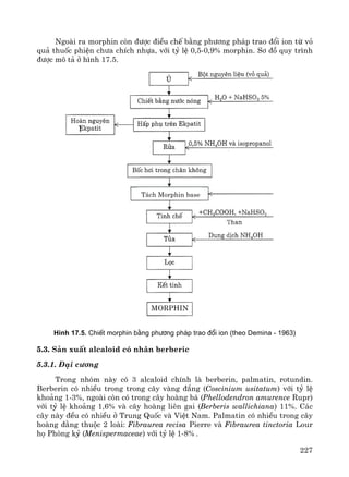 227
Ngoμi ra morphin cßn ®−îc ®iÒu chÕ b»ng ph−¬ng ph¸p trao ®æi ion tõ vá
qu¶ thuèc phiÖn ch−a chÝch nhùa, víi tû lÖ 0,5-0,9% morphin. S¬ ®å quy tr×nh
®−îc m« t¶ ë h×nh 17.5.
H×nh 17.5. ChiÕt morphin b»ng ph−¬ng ph¸p trao ®æi ion (theo Demina - 1963)
5.3. S¶n xuÊt alcaloid cã nh©n berberic
5.3.1. §¹i c−¬ng
Trong nhãm nμy cã 3 alcaloid chÝnh lμ berberin, palmatin, rotundin.
Berberin cã nhiÒu trong trong c©y vμng ®¾ng (Coscinium usitatum) víi tû lÖ
kho¶ng 1-3%, ngoμi cßn cã trong c©y hoμng b¸ (Phellodendron amurence Rupr)
víi tû lÖ kho¶ng 1,6% vμ c©y hoμng liªn gai (Berberis wallichiana) 11%. C¸c
c©y nμy ®Òu cã nhiÒu ë Trung Quèc vμ ViÖt Nam. Palmatin cã nhiÒu trong c©y
hoμng ®»ng thuéc 2 loμi: Fibraurea recisa Pierre vμ Fibraurea tinctoria Lour
hä Phßng kû (Menispermaceae) víi tû lÖ 1-8% .
T¸ch Morphin base
MORPHIN
 
