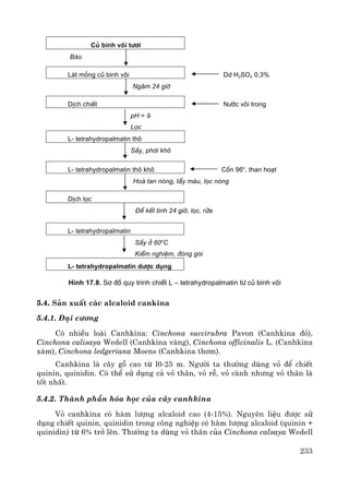 233
Cñ b×nh v«i t−¬i
Bμo
L¸t máng cñ b×nh v«i Dd H2SO4 0,3%
Ng©m 24 giê
DÞch chiÕt N−íc v«i trong
pH = 9
Läc
L- tetrahydropalmatin th«
SÊy, ph¬i kh«
L- tetrahydropalmatin th« kh« Cån 96o
, than ho¹t
Hoμ tan nãng, tÈy mμu, läc nãng
DÞch läc
§Ó kÕt tinh 24 giê, läc, röa
L- tetrahydropalmatin
SÊy ë 60o
C
KiÓm nghiÖm, ®ãng gãi
L- tetrahydropalmatin d−îc dông
H×nh 17.8. S¬ ®å quy tr×nh chiÕt L – tetrahydropalmatin tõ cñ b×nh v«i
5.4. S¶n xuÊt c¸c alcaloid cankina
5.4.1. §¹i c−¬ng
Cã nhiÒu loμi Canhkina: Cinchona succirubra Pavon (Canhkina ®á),
Cinchona calisaya Wedell (Canhkina vμng), Cinchona officinalis L. (Canhkina
x¸m), Cinchona ledgeriana Moens (Canhkina th¬m).
Canhkina lμ c©y gç cao tõ l0-25 m. Ng−êi ta th−êng dïng vá ®Ó chiÕt
quinin, quinidin. Cã thÓ sö dông c¶ vá th©n, vá rÔ, vá cμnh nh−ng vá th©n lμ
tèt nhÊt.
5.4.2. Thμnh phÇn hãa häc cña c©y canhkina
Vá canhkina cã hμm l−îng alcaloid cao (4-15%). Nguyªn liÖu ®−îc sö
dông chiÕt quinin, quinidin trong c«ng nghiÖp cã hμm l−îng alcaloid (quinin +
quinidin) tõ 6% trë lªn. Th−êng ta dïng vá th©n cña Cinchona calsaya Wedell
 