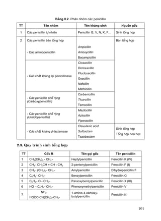 101
B¶ng 8.2. Ph©n nhãm c¸c penicillin
TT Tªn nhãm Tªn kh¸ng sinh Nguån gèc
1 C¸c penicillin tù nhiªn Penicillin G, V, N, K, F… Sinh tæng hîp
2 C¸c penicillin b¸n tæng hîp B¸n tæng hîp
- C¸c aminopenicillin
Ampicillin
Amoxycillin
Bacampicillin
- C¸c chÊt kh¸ng l¹i penicillinase
Cloxacillin
Dicloxacillin
Flucloxacillin
Oxacillin
Nafcillin
Methicillin
- C¸c penicillin phæ réng
(Carboxypenicillin)
Carbenicillin
Ticarcillin
Temocillin
- C¸c penicillin phæ réng
(Ureidopenicillin)
Mezlocillin
Azlocillin
Piperacillin
- C¸c chÊt kh¸ng β-lactamase
Clavulanic acid
Sulbactam
Tazobactam
Sinh tæng hîp
Tæng hîp ho¸ häc
2.3. Quy tr×nh sinh tæng hîp
TT Gèc R Tªn gäi gèc Tªn penicillin
1 CH3(CH2)5 - CH2 - Heptylpenicillin Penicillin K (IV)
2 CH3 - CH2CH = CH - CH2 2-pentenylpenicillin Penicillin F (I)
3 CH3 - (CH2)3 - CH2 - Amylpenicillin Dihydropenicillin F
4 C6H5 - CH2 - Benzylpenicillin Penicillin G
5 C6H5 - O - CH2 - Paraoxybenzylpenicillin Penicillin X (III)
6 HO – C6H5 - CH2 - Phenoxymethylpenicillin Penicillin V
7
NH2
HOOC-CH(CH2)2-CH2-
1-amino-4-carboxy-
butylpenicillin
Penicillin N
 