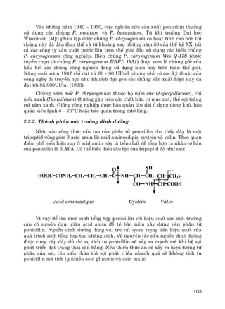 103
Vμo nh÷ng n¨m 1940 – 1950, viÖc nghiªn cøu s¶n xuÊt penicillin th−êng
sö dông c¸c chñng P. notatum vμ P. baculatum. Tõ khi tr−êng §¹i häc
Wisconsin (Mü) ph©n lËp ®−îc chñng P. chrysogenum cã ho¹t tÝnh cao h¬n th×
chñng nμy ®· dÇn thay thÕ vμ tõ kho¶ng sau nh÷ng n¨m 50 cña thÕ kû XX, tÊt
c¶ c¸c c«ng ty s¶n xuÊt penicillin trªn thÕ giíi ®Òu sö dông c¸c biÕn chñng
P. chrysogenum c«ng nghiÖp. BiÕn chñng P. chrysogenum Wis Q-176 (®−îc
tuyÓn chän tõ chñng P. chrysogenum URRL 1951) ®−îc xem lμ chñng gèc cña
hÇu hÕt c¸c chñng c«ng nghiÖp ®ang sö dông hiÖn nay trªn toμn thÕ giíi.
N¨ng suÊt n¨m 1947 chØ ®¹t tõ 60 - 80 UI/ml nh−ng nhê cã c¸c kü thuËt cña
c«ng nghÖ di truyÒn häc nh− khuÕch ®¹i gen c¸c chñng s¶n xuÊt hiÖn nay ®·
®¹t tíi 85.000UI/ml (1993).
Chñng nÊm mèc P. chrysogenum thuéc hä nÊm cóc (Aspergillaceae), chi
mèc xanh (Penicillium) th−êng gÆp trªn c¸c chÊt h÷u c¬ môc n¸t, thÓ sîi tr¾ng
roi x¸m xanh. Gièng c«ng nghiÖp ®−îc b¶o qu¶n l©u dμi ë d¹ng ®«ng kh«, b¶o
qu¶n siªu l¹nh ë – 70O
C hoÆc b¶o qu¶n trong nit¬ láng.
2.3.2. Thμnh phÇn m«i tr−êng dinh d−ìng
Nh×n vμo c«ng thøc cÊu t¹o cña ph©n tö penicillin cho thÊy ®©y lμ mét
tripeptid vßng gåm 3 acid amin lμ: acid aminoadipic, cystein vμ valin. Theo quan
®iÓm phæ biÕn hiÖn nay 3 acid amin nμy lμ tiÒn chÊt ®Ó tæng hîp ra nh©n c¬ b¶n
cña penicillin lμ 6-APA. Cã thÓ biÓu diÔn cÊu t¹o cña tripeptid ®ã nh− sau:
HOOC CHNH2 CH2 CH2 CH2 C
O
NH CH
CO
CH2
NH CH
CH (CH3)2
COOH
SH
Acid aminoadipic Cystein Valin
V× vËy ®Ó lªn men sinh tæng hîp penicillin víi hiÖu suÊt cao m«i tr−êng
cÇn cã nguån ®¹m giμu acid amin ®Ó tÕ bμo nÊm x©y dùng nªn ph©n tö
penicillin. Nguån dinh d−ìng ®ãng vai trß rÊt quan träng ®Õn hiÖu suÊt cña
qu¸ tr×nh sinh tæng hîp t¹o kh¸ng sinh. VÒ nguyªn t¾c nÕu nguån dinh d−ìng
®−îc cung cÊp ®Çy ®ñ th× sù tÝch tô penicillin sÏ x¶y ra m¹nh mÏ khi hÖ sîi
ph¸t triÓn ®¹t tr¹ng th¸i c©n b»ng. NÕu thiÕu thøc ¨n sÏ x¶y ra hiÖn t−îng tù
ph©n cña sîi, cßn nÕu thõa th× sîi ph¸t triÓn nhanh qu¸ sÏ kh«ng tÝch tô
penicillin mμ tÝch tô nhiÒu acid gluconic vμ acid malic.
 