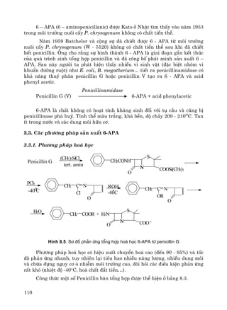 110
6 – APA (6 – aminopenicillanic) ®−îc Kato ë NhËt t×m thÊy vμo n¨m 1953
trong m«i tr−êng nu«i cÊy P. chrysogenum kh«ng cã chÊt tiÒn thÓ.
N¨m 1959 Batchelor vμ céng sù ®· chiÕt ®−îc 6 - APA tõ m«i tr−êng
nu«i cÊy P. chrysogenum (W - 5120) kh«ng cã chÊt tiÒn thÓ sau khi ®· chiÕt
hÕt penicillin. ¤ng cho r»ng sù h×nh thμnh 6 - APA lμ giai ®o¹n gÇn kÕt thóc
cña qu¸ tr×nh sinh tæng hîp penicillin vμ ®· c«ng bè ph¸t minh s¶n xuÊt 6 –
APA. Sau nμy ng−êi ta ph¸t hiÖn thÊy nhiÒu vi sinh vËt (®Æc biÖt nhãm vi
khuÈn ®−êng ruét) nh− E. coli, B. megatherium... tiÕt ra penicillinamidase cã
kh¶ n¨ng thuû ph©n penicillin G hoÆc penicillin V t¹o ra 6 - APA vμ acid
phenyl acetic.
Penicillinamidase
Penicillin G (V) 6-APA + acid phenylacetic
6-APA lμ chÊt kh«ng cã ho¹t tÝnh kh¸ng sinh ®èi víi tô cÇu vμ còng bÞ
penicillinase ph¸ huû. Tinh thÓ mμu tr¾ng, kh¸ bÒn, ®é ch¶y 209 - 210O
C. Tan
Ýt trong n−íc vμ c¸c dung m«i h÷u c¬.
3.3. C¸c ph−¬ng ph¸p s¶n xuÊt 6-APA
3.3.1. Ph−¬ng ph¸p ho¸ häc
N
S
COON
O
H3N+CH2 COOR
H2O
O
CH2 C
OR
N
O
-40oC
PCl5
N
S
COOSi(CH3)3
CH2CONH
tert. amin
(CH3)3SiCl
Penicillin G
N
O
CH2 C
Cl
N ROH
-40C
-
H×nh 8.5. S¬ ®å ph¶n øng tæng hîp ho¸ häc 6-APA tõ penicillin G
Ph−¬ng ph¸p ho¸ häc cã hiÖu suÊt chuyÓn ho¸ cao (®Õn 90 - 95%) vμ tèc
®é ph¶n øng nhanh, tuy nhiªn l¹i tiªu hao nhiÒu n¨ng l−îng, nhiÒu dung m«i
vμ chøa ®ùng nguy c¬ « nhiÔm m«i tr−êng cao, ®ßi hái c¸c ®iÒu kiÖn ph¶n øng
rÊt khã (nhiÖt ®é -40°C, ho¸ chÊt ®¾t tiÒn…).
C«ng thøc mét sè Penicillin b¸n tæng hîp ®−îc thÓ hiÖn ë b¶ng 8.3.
 