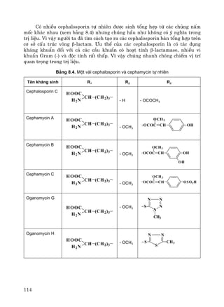 114
Cã nhiÒu cephalosporin tù nhiªn ®−îc sinh tæng hîp tõ c¸c chñng nÊm
mèc kh¸c nhau (xem b¶ng 8.4) nh−ng chóng hÇu nh− kh«ng cã ý nghÜa trong
trÞ liÖu. V× vËy ng−êi ta ®· t×m c¸ch t¹o ra c¸c cephalosporin b¸n tæng hîp trªn
c¬ së cÊu tróc vßng β-lactam. ¦u thÕ cña c¸c cephalosporin lμ cã t¸c dông
kh¸ng khuÈn ®èi víi c¶ c¸c cÇu khuÈn cã ho¹t tÝnh β-lactamase, nhiÒu vi
khuÈn Gram (-) vμ ®éc tÝnh rÊt thÊp. V× vËy chóng nhanh chãng chiÕm vÞ trÝ
quan träng trong trÞ liÖu.
B¶ng 8.4. Mét vµi cephalosporin vµ cephamycin tù nhiªn
Tªn kh¸ng sinh R1 R2 R3
Cephalosporin C
HOOC
CH (CH2)3
H2N - H - OCOCH3
Cephamycin A
HOOC
CH (CH2)3
H2N - OCH3
OHCHOCOC
OCH3
Cephamycin B
HOOC
CH (CH2)3
H2N - OCH3
OHCHOCOC
OCH3
OH
Cephamycin C
HOOC
CH (CH2)3
H2N - OCH3
OSO3HCHOCOC
OCH3
Oganomycin G
HOOC
CH (CH2)3
H2N
- OCH3
N
NN
N
S
CH3
Oganomycin H
HOOC
CH (CH2)3
H2N
- OCH3
N N
S
S CH3
 