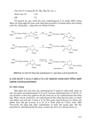117
C¸c yÕu tè vi l−îng (K, Fe, Mn, Mg, Zn, Cu…)
N−íc m¸y v® 1 lÝt
pH 7,3
VÒ nguyªn lý, quy tr×nh lªn men cephalosporin C cã nhiÒu ®iÓm t−¬ng
®ång víi c«ng nghÖ lªn men sinh tæng hîp penicillin vÒ thμnh phÇn m«i tr−êng
nu«i cÊy, th«ng khÝ… còng nh− c¸c th«ng sè kh¸c.
N
S CH3
CH3
O COOH
CONH(CH2)3CH
H2N
HOOC
N
O
CONH(CH2)3CH
H2N
HOOC
S
CH3
COOH
N
O
CONH(CH2)3CH
H2N
HOOC
S
CH3
COOH
N
O
CONH(CH2)3CH
H2N
HOOC
S
CH2OH
COOH
N
O
CONH(CH2)3CH
H2N
HOOC
S
CH2OH
COOH
N
O
CONH(CH2)3CH
H2N
HOOC
S
CH2
COOH
OCOCH3
Acetyl-CoA
O2
+
- 2 H
Penicillin N
Cephalosporin C
H×nh 8.4. C¬ chÕ sinh tæng hîp cephalosporin C (giai ®o¹n cuèi tõ penicillin N)
5. S¶n xuÊt 7–ACA; 7–ADCA vμ c¸c kh¸ng sinh b¸n tæng hîp
nhãm Cephalosporin
5.1. §¹i c−¬ng
Khi ph©n tÝch cÊu tróc cña cephalosporin C ng−êi ta nhËn thÊy nh©n c¬
b¶n cña ph©n tö cephalosporin C lμ acid 7-amino-cephalosporanic (7-ACA). V×
vËy tõ nh©n c¬ b¶n nμy ng−êi ta ®· t×m c¸ch t¹o ra c¸c cephalosporin b¸n tæng
hîp. Kh¸c víi c¸c penicillin, c¸c cephalosporin b¸n tæng hîp bao gåm c¶ nhãm
s¶n phÈm acyl ho¸ gèc 7-amin ë vÞ trÝ bªn c¹nh vßng β-lactam vμ nhãm s¶n
phÈm thay thÕ gèc acetoxy ë vÞ trÝ sè 3. XuÊt ph¸t tõ 7-ACA, n¨m 1962
Chauvette ®· tæng hîp ®−îc cephalothin cã hiÖu lùc m¹nh gÊp 100 lÇn
penicillin G, phæ kh¸ng khuÈn réng, cã hiÖu lùc trªn c¶ vi khuÈn Gram (-).
 