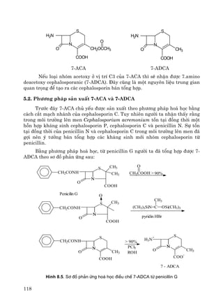 118
N
O
S
COOH
H2N
CH2OCCH3
O
N
O
S
COOH
H2N
CH3
7-ACA 7-ADCA
NÕu lo¹i nhãm acetoxy ë vÞ trÝ C3 cña 7-ACA th× sÏ nhËn ®−îc 7.amino
deacetoxy cephalosporanic (7-ADCA). §©y còng lμ mét nguyªn liÖu trung gian
quan träng ®Ó t¹o ra c¸c cephalosporin b¸n tæng hîp.
5.2. Ph−¬ng ph¸p s¶n xuÊt 7-ACA vμ 7-ADCA
Tr−íc ®©y 7-ACA chñ yÕu ®−îc s¶n xuÊt theo ph−¬ng ph¸p ho¸ häc b»ng
c¸ch c¾t m¹ch nh¸nh cña cephalosporin C. Tuy nhiªn ng−êi ta nhËn thÊy r»ng
trong m«i tr−êng lªn men Cephalosporium acremonium tån t¹i ®ång thêi mét
hçn hîp kh¸ng sinh cephalosporin P, cephalosporin C vμ penicillin N. Sù tån
t¹i ®ång thêi cña penicillin N vμ cephalosporin C trong m«i tr−êng lªn men ®·
gîi nªn ý t−ëng b¸n tæng hîp c¸c kh¸ng sinh míi nhãm cephalosporin tõ
penicillin.
B»ng ph−¬ng ph¸p ho¸ häc, tõ penicillin G ng−êi ta ®· tæng hîp ®−îc 7-
ADCA theo s¬ ®å ph¶n øng sau:
CH2CONH
N
O
N
S CH3
CH3
COOH
CH3COOH >
O
90%
Penicilin G
N
S CH3
COOH
N
O
CH2CONH
O
(CH3)3SiN=C OSi(CH3)3
CH3
pyridin HBr
CH2CONH
N
O
N
S
COOH
CH3
> 90%
PCl5
ROH
N
H3N
+
O
N
S
COO
-
CH3
7 - ADCA
H×nh 8.5. S¬ ®å ph¶n øng ho¸ häc ®iÒu chÕ 7-ADCA tõ penicillin G
 