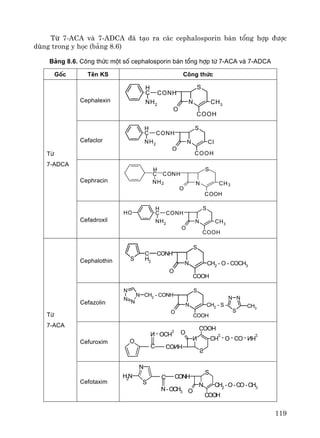119
Tõ 7-ACA vμ 7-ADCA ®· t¹o ra c¸c cephalosporin b¸n tæng hîp ®−îc
dïng trong y häc (b¶ng 8.6)
B¶ng 8.6. C«ng thøc mét sè cephalosporin b¸n tæng hîp tõ 7-ACA vµ 7-ADCA
Gèc Tªn KS C«ng thøc
Cephalexin
C
H
CONH
NH2
O
N
S
COOH
CH3
Cefaclor
C
H
CONH
NH2
O
N
S
COOH
Cl
Cephracin
C
H
NH2
CONH
N
O
S
CH3
COOH
Tõ
7-ADCA
Cefadroxil
C
H
CONH
NH2
OH
O
N
S
COOH
CH3
Cephalothin
O
N
S
COOH
CH2 - O - COCH3
S
C
H2
CONH
Cefazolin
N
N
N
N
CH2
- CONH
O
N
S
CH2
- S -
COOH
S
NN
CH3
Cefuroxim CONH
O
N
S
COOH
CH2
- O - CO - NH2
O
C
N - OCH3
Tõ
7-ACA
Cefotaxim
CONH
O
N
S
COOH
CH2
-O-CO-CH3
S
N
NH2 C
N-OCH3
 