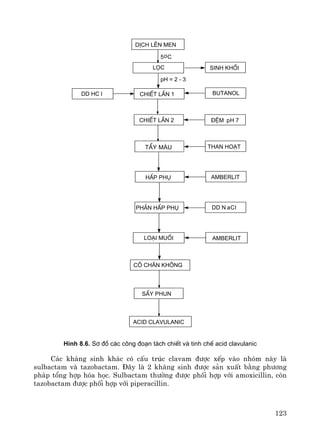 123
amberlitlo¹i muèi
DD N aClph¶n hÊp phô
than ho¹tt¶y mμu
amberlit
5oC
DD HC l
pH = 2 - 3
®Öm pH 7
dÞch lªn men
läc sinh khèi
chiÕt lÇn 1 butanol
chiÕt lÇn 2
hÊp phô
c« ch©n kh«ng
sÊy phun
acid clavulanic
H×nh 8.6. S¬ ®å c¸c c«ng ®o¹n t¸ch chiÕt vµ tinh chÕ acid clavulanic
C¸c kh¸ng sinh kh¸c cã cÊu tróc clavam ®−îc xÕp vμo nhãm nμy lμ
sulbactam vμ tazobactam. §©y lμ 2 kh¸ng sinh ®−îc s¶n xuÊt b»ng ph−¬ng
ph¸p tæng hîp hãa häc. Sulbactam th−êng ®−îc phèi hîp víi amoxicillin, cßn
tazobactam ®−îc phèi hîp víi piperacillin.
TÈy mμu
 