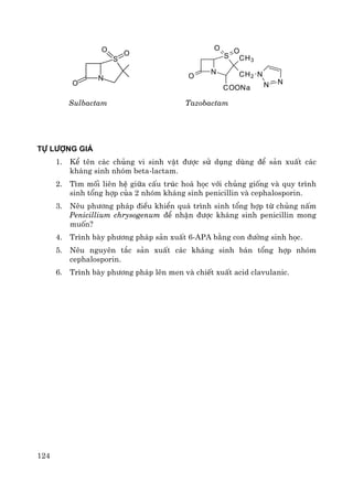 124
N
S
OO
O
N
S
OO
O
CH3
CH2 N
N N
COONa
Sulbactam Tazobactam
Tù l−îng gi¸
1. KÓ tªn c¸c chñng vi sinh vËt ®−îc sö dông dïng ®Ó s¶n xuÊt c¸c
kh¸ng sinh nhãm beta-lactam.
2. T×m mèi liªn hÖ gi÷a cÊu tróc ho¸ häc víi chñng gièng vμ quy tr×nh
sinh tæng hîp cña 2 nhãm kh¸ng sinh penicillin vμ cephalosporin.
3. Nªu ph−¬ng ph¸p ®iÒu khiÓn qu¸ tr×nh sinh tæng hîp tõ chñng nÊm
Penicillium chrysogenum ®Ó nhËn ®−îc kh¸ng sinh penicillin mong
muèn?
4. Tr×nh bμy ph−¬ng ph¸p s¶n xuÊt 6-APA b»ng con ®−êng sinh häc.
5. Nªu nguyªn t¾c s¶n xuÊt c¸c kh¸ng sinh b¸n tæng hîp nhãm
cephalosporin.
6. Tr×nh bμy ph−¬ng ph¸p lªn men vμ chiÕt xuÊt acid clavulanic.
 