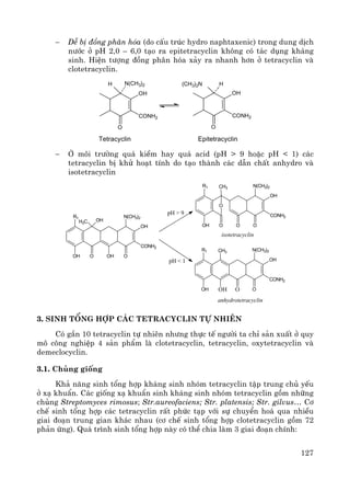 127
− DÔ bÞ ®ång ph©n hãa (do cÊu tróc hydro naphtaxenic) trong dung dÞch
n−íc ë pH 2,0 – 6,0 t¹o ra epitetracyclin kh«ng cã t¸c dông kh¸ng
sinh. HiÖn t−îng ®ång ph©n hãa x¶y ra nhanh h¬n ë tetracyclin vμ
clotetracyclin.
O
N(CH3)2
OH
CONH2
H
O
OH
CONH2
(CH3)2N H
Tetracyclin Epitetracyclin
− ë m«i tr−êng qu¸ kiÒm hay qu¸ acid (pH > 9 hoÆc pH < 1) c¸c
tetracyclin bÞ khö ho¹t tÝnh do t¹o thμnh c¸c dÉn chÊt anhydro vμ
isotetracyclin
OH O
N(CH3)2
OH
CONH2
R1 CH3
O
O
O
OH O
N(CH3)2
OH
CONH2
R1 CH3
OH O
OHOH O O
N(CH3)2
OH
CONH2
OHH3C
R1
pH > 9
pH < 1
isotetracyclin
anhydrotetracyclin
3. Sinh tæng hîp c¸c Tetracyclin tù nhiªn
Cã gÇn 10 tetracyclin tù nhiªn nh−ng thùc tÕ ng−êi ta chØ s¶n xuÊt ë quy
m« c«ng nghiÖp 4 s¶n phÈm lμ clotetracyclin, tetracyclin, oxytetracyclin vμ
demeclocyclin.
3.1. Chñng gièng
Kh¶ n¨ng sinh tæng hîp kh¸ng sinh nhãm tetracyclin tËp trung chñ yÕu
ë x¹ khuÈn. C¸c gièng x¹ khuÈn sinh kh¸ng sinh nhãm tetracyclin gåm nh÷ng
chñng Streptomyces rimosus; Str.aureofaciens; Str. platensis; Str. gilvus… C¬
chÕ sinh tæng hîp c¸c tetracyclin rÊt phøc t¹p víi sù chuyÓn ho¸ qua nhiÒu
giai ®o¹n trung gian kh¸c nhau (c¬ chÕ sinh tæng hîp clotetracyclin gåm 72
ph¶n øng). Qu¸ tr×nh sinh tæng hîp nμy cã thÓ chia lμm 3 giai ®o¹n chÝnh:
 