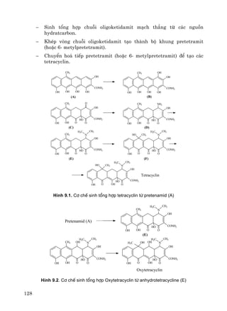 128
− Sinh tæng hîp chuçi oligoketidamit m¹ch th¼ng tõ c¸c nguån
hydratcarbon.
− KhÐp vßng chuçi oligoketidamit t¹o thμnh bé khung pretetramit
(hoÆc 6- metylpretetramit).
− ChuyÓn ho¸ tiÕp pretetramit (hoÆc 6- metylpretetramit) ®Ó t¹o c¸c
tetracyclin.
OH OH OH OH
CH3
OH
CONH2
OH OH OH OH
CH3
OH
CONH2
OH
OH OH O O
CH3
OH
CONH2
O
HO
OH OH O O
CH3
OH
CONH2HO
NH2
OH OH O O
CH3
OH
CONH2HO
N
CH3H3C
OH O O O
CH3
OH
CONH2HO
N
CH3H3C
HO
OH O O
CH3
OH
CONH2HO
N
CH3H3C
HO
OH
(A) (B)
(D)(C)
Tetracyclin
(E) (F)
H×nh 9.1. C¬ chÕ sinh tæng hîp tetracyclin tõ pretenamid (A)
OH OH O O
CH3
OH
CONH2HO
N
CH3H3C
OH OH O O
CH3
OH
CONH2HO
N
CH3H3C
OH
OH O OH O
OH
OH
CONH2HO
N
CH3H3C
OHH3C
(E)
Pretenamid (A)
Oxytetracyclin
H×nh 9.2. C¬ chÕ sinh tæng hîp Oxytetracyclin tõ anhydrotetracycline (E)
 