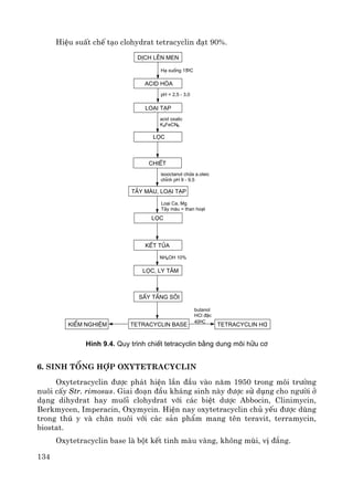 134
HiÖu suÊt chÕ t¹o clohydrat tetracyclin ®¹t 90%.
läc, ly t©m
pH = 2,5 - 3,0
H¹ xuèng 15oC
läc
acid hãa
dÞch lªn men
lo¹i t¹p
acid oxalic
K4FeCN6
t¶y mμu, lo¹i t¹p
Lo¹i Ca, Mg
T¶y mµu = than ho¹t
ChiÕt
isooctanol chøa a.oleic
chØnh pH 9 - 9,5
NH4OH 10%
kÕt tña
tetracyclin base
butanol
HCl ®Æc
40oC
tetracyclin HCl
läc
sÊy tÇng s«i
kiÓm nghiÖm
H×nh 9.4. Quy tr×nh chiÕt tetracyclin b»ng dung m«i h÷u c¬
6. Sinh tæng hîp Oxytetracyclin
Oxytetracyclin ®−îc ph¸t hiÖn lÇn ®Çu vμo n¨m 1950 trong m«i tr−êng
nu«i cÊy Str. rimosus. Giai ®o¹n ®Çu kh¸ng sinh nμy ®−îc sö dông cho ng−êi ë
d¹ng dihydrat hay muèi clohydrat víi c¸c biÖt d−îc Abbocin, Clinimycin,
Berkmycen, Imperacin, Oxymycin. HiÖn nay oxytetracyclin chñ yÕu ®−îc dïng
trong thó y vμ ch¨n nu«i víi c¸c s¶n phÈm mang tªn teravit, terramycin,
biostat.
Oxytetracyclin base lμ bét kÕt tinh mμu vμng, kh«ng mïi, vÞ ®¾ng.
 