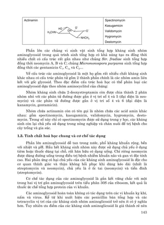143
Actinamin
HO
OH
O
-
NHCH3
H3CHN O
-
Spectinomycin
Kasugamicin
Validomycin
Hygromycin
Destomycin
PhÇn lín c¸c chñng vi sinh vËt sinh tæng hîp kh¸ng sinh nhãm
aminoglycosid trong qu¸ tr×nh sinh tæng hîp cã kh¶ n¨ng t¹o ra ®ång thêi
nhiÒu chÊt cã cÊu tróc rÊt gÇn nhau nh− chñng Str. fradiae sinh tæng hîp
®ång thêi neomycin A, B vμ C; chñng Micromonospora purpurea sinh tæng hîp
®ång thêi c¸c gentamicin C1, C1a vμ C2…
VÒ cÊu tróc c¸c aminoglycosid lμ mét hä gåm rÊt nhiÒu chÊt kh¸ng sinh
kh¸c nhau cã cÊu tróc ph©n tö gåm 2 thμnh phÇn chÝnh lμ c¸c nhãm amin liªn
kÕt víi gèc glycosid. Theo ®Æc ®iÓm cÊu tróc ho¸ häc cã thÓ ph©n lo¹i c¸c
aminoglycosid dùa theo nhãm aminocyclitol cña chóng:
Nhãm kh¸ng sinh chøa 2-deoxystreptamin cßn ®−îc chia thμnh 2 ph©n
nhãm nhá víi c¸c ph©n tö ®−êng ®−îc g¾n ë vÞ trÝ sè 4 vμ 5 (®¹i diÖn lμ neo-
mycin) vμ c¸c ph©n tö ®−êng ®−îc g¾n ë vÞ trÝ sè 4 vμ 6 (®¹i diÖn lμ
kanamycin, gentamicin).
Nhãm chøa actinamin cßn cã tªn gäi lμ nhãm chøa c¸c acid amin kh¸c
nhau: gåm spectinomycin, kasugamicin, validomycin, hygromycin, desto-
mycin. Trong sè nμy chØ cã spectinomycin ®−îc sö dông trong y häc, c¸c kh¸ng
sinh cßn l¹i chñ yÕu sö dông trong n«ng nghiÖp vμ ch¨n nu«i ®Ó trÞ bÖnh cho
c©y trång vμ gia sóc.
1.3. TÝnh chÊt ho¸ häc chung vμ c¬ chÕ t¸c dông
PhÇn lín aminoglycosid dÔ tan trong n−íc, phæ kh¸ng khuÈn réng, bÒn
víi nhiÖt vμ pH. HÇu hÕt kh¸ng sinh nhãm nμy ®−îc sö dông chñ yÕu ë d¹ng
tiªm hoÆc thuèc dïng t¹i chç, rÊt h·n h÷u cã d¹ng uèng. ChØ riªng neomycin
®−îc dïng ®−êng uèng trong ®iÒu trÞ bÖnh nhiÔm khuÈn n·o vμ gan v× ®éc tÝnh
cao. Hai ph¶n øng cã h¹i chñ yÕu cña c¸c kh¸ng sinh aminoglycosid lμ ®éc cho
c¬ quan thÝnh gi¸c vμ thËn kh«ng håi phôc khi dïng kÐo dμi (nhÊt lμ
streptomycin vμ neomycin), chñ yÕu lμ ë èc tai (neomycin) vμ tiÒn ®×nh
(streptomycin).
C¬ chÕ t¸c dông cña c¸c aminoglycosid lμ g¾n kÕt v÷ng ch¾c víi mét
trong hai vÞ trÝ g¾n aminoglycosid trªn tiÓu ph©n 30S cña ribosom, kÕt qu¶ lμ
thuèc øc chÕ tæng hîp protein cña vi khuÈn.
C¸c aminoglycosid hoμn toμn kh«ng cã t¸c dông trªn c¸c vi khuÈn kþ khÝ,
nÊm vμ virus. KÓ tõ khi xuÊt hiÖn c¸c penicillin b¸n tæng hîp vμ c¸c
tetracyclin vÞ trÝ cña c¸c kh¸ng sinh nhãm aminoglicosid trë nªn Ýt cã ý nghÜa
h¬n. Tuy nhiªn −u ®iÓm cña c¸c kh¸ng sinh aminoglicosid lμ gi¸ thμnh rÎ nªn
 