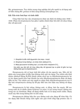 146
Str. griseocarneus. Tuy nhiªn trong c«ng nghiÖp chñ yÕu ng−êi ta sö dông mét
sè biÕn chñng Str. griseus cã kh¶ n¨ng kh¸ng actinophage cao.
2.2. CÊu tróc ho¸ häc vμ tÝnh chÊt
C«ng thøc ho¸ häc cña streptomycin ®−îc x¸c ®Þnh tõ nh÷ng n¨m 1946 –
1948. Ph©n tö streptomycin bao gåm 3 phÇn chÝnh ®−îc liªn kÕt víi nhau b»ng
d©y nèi glycosid:
1- Streptidin lµ dÉn chÊt diguanidin cña meso - inosid
2- Streptose lµ lo¹i ®−êng L cã chøa nhãm aldehyd ë C3
3- Metyl glucosamin lµ ®−êng lo¹i L cã chøa nhãm metylamin ë C2.
Hai phÇn sau liªn kÕt víi nhau b»ng d©y nèi glycosid t¹o ra ph©n tö gåm hai lo¹i
®−êng ®−îc gäi lµ streptobiosamin.
Streptomycin chØ cã ho¹t tÝnh khi ph©n tö cßn nguyªn vÑn. NÕu c¾t bá
phÇn nμo trong ph©n tö ®Òu lμm kh¸ng sinh mÊt t¸c dông. Tuy nhiªn nÕu khö
nhãm aldehyd (b»ng H2/Pd) thμnh nhãm alcol t¹o ra dihydrostreptomycin l¹i
cã t¸c dông m¹nh trªn trùc khuÈn lao nªn dihydrostreptomycin ®−îc sö dông
®iÒu trÞ lao. Tuy nhiªn sau nμy ng−êi ta nhËn thÊy dihydrostreptomycin tuy Ýt
®éc h¬n streptomycin nh−ng l¹i dÔ g©y ®iÕc h¬n nªn hiÖn nay kh«ng sö dông
n÷a.
Streptomycin lμ bét tr¾ng, kh«ng mïi, vÞ ®¾ng, hót Èm m¹nh. DÔ tan
trong n−íc do cã nhiÒu nhãm hydroxyl vμ amin, Ýt tan trong etanol, kh«ng tan
trong ete vμ cloroform. §−îc sö dông nhiÒu h¬n c¶ lμ d¹ng muèi sulfat. D¹ng
muèi nμy bÒn trong kh«ng khÝ vμ ¸nh s¸ng.
Streptomycin kh«ng hÊp thu qua ®−êng ruét nªn dïng ®Ó tiªm b¾p. Cã
t¸c dông diÖt khuÈn b»ng c¸ch ng¨n c¶n qu¸ tr×nh tæng hîp protein cña vi
(2)
(3)
(1)
 