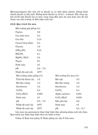 153
Micromonospora hÇu nh− chØ cã khuÈn ty c¬ chÊt ph©n nh¸nh, kh«ng h×nh
thμnh khuÈn ty khÝ sinh. §−êng kÝnh khuÈn ty tõ 0,4 – 0,8mcm. Khi ch−a t¹o
bμo tö bÒ mÆt khuÈn l¹c cã mμu vμng s¸ng ®Õn mμu da cam hoÆc n©u ®á tuú
thuéc vμo m«i tr−êng vμ ®iÒu kiÖn nu«i cÊy.
3.3.2. Quy tr×nh lªn men
M«i tr−êng gi÷ gièng (%):
Pepton 0,6
Cao nÊm men 0,3
Cao thÞt 0,15
Casein thuû ph©n 0,4
Glucose 1,0
(NH4)2SO4 0,35
KH2PO4 0,1
MgSO4.7H2O 0,5
Th¹ch 2%
N−íc m¸y v®
pH 6,8 – 7,0
NhiÖt ®é nu«i cÊy 28O
C
M«i tr−êng nh©n gièng (%):
Tinh bét khoai t©y 1,0
Bét ®Ëu t−¬ng 1,0
Saccharose 1,0
CaCO3 0,4
CoCl2.6H2O 0,002
N−íc m¸y v®
pH 6,8 – 7,0
NhiÖt ®é nu«i cÊy 28O
C
NhiÖt ®é nu«i cÊy 28O
C
M«i tr−êng lªn men (%):
Bét ng« 2,5
Bét ®Ëu t−¬ng 3,0
Saccharose 1,0
CaCO3 0,4
Alpha amylase 0,001
CoCl2.6H2O 0,002
DÇu ph¸ bät 0,6
N−íc m¸y v®
pH 6,5 – 6,7
Lªn men t¹o gentamicin ®−îc thùc hiÖn theo ph−¬ng ph¸p nu«i cÊy ch×m.
Qu¸ tr×nh nμy ®−îc thùc hiÖn theo c¸c b−íc c¬ b¶n:
Gièng Ho¹t ho¸ gièng Nh©n gièng c¸c cÊp Lªn men.
 