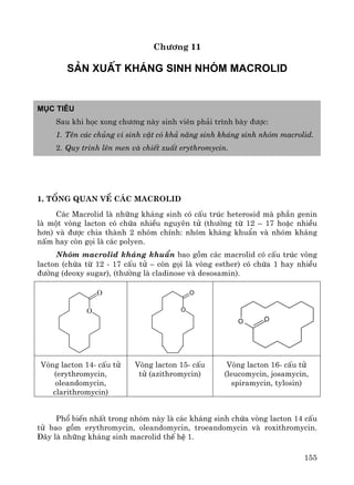 155
Ch−¬ng 11
s¶n xuÊt Kh¸ng sinh nhãm Macrolid
Môc tiªu
Sau khi häc xong ch−¬ng nμy sinh viªn ph¶i tr×nh bμy ®−îc:
1. Tªn c¸c chñng vi sinh vËt cã kh¶ n¨ng sinh kh¸ng sinh nhãm macrolid.
2. Quy tr×nh lªn men vμ chiÕt xuÊt erythromycin.
1. Tæng quan vÒ c¸c Macrolid
C¸c Macrolid lμ nh÷ng kh¸ng sinh cã cÊu tróc heterosid mμ phÇn genin
lμ mét vßng lacton cã chøa nhiÒu nguyªn tö (th−êng tõ 12 – 17 hoÆc nhiÒu
h¬n) vμ ®−îc chia thμnh 2 nhãm chÝnh: nhãm kh¸ng khuÈn vμ nhãm kh¸ng
nÊm hay cßn gäi lμ c¸c polyen.
Nhãm macrolid kh¸ng khuÈn bao gåm c¸c macrolid cã cÊu tróc vßng
lacton (chøa tõ 12 - 17 cÊu tö – cßn gäi lμ vßng esther) cã chøa 1 hay nhiÒu
®−êng (deoxy sugar), (th−êng lμ cladinose vμ desosamin).
O
O
O
O
OO
Vßng lacton 14- cÊu tö
(erythromycin,
oleandomycin,
clarithromycin)
Vßng lacton 15- cÊu
tö (azithromycin)
Vßng lacton 16- cÊu tö
(leucomycin, josamycin,
spiramycin, tylosin)
Phæ biÕn nhÊt trong nhãm nμy lμ c¸c kh¸ng sinh chøa vßng lacton 14 cÊu
tö bao gåm erythromycin, oleandomycin, troeandomycin vμ roxithromycin.
§©y lμ nh÷ng kh¸ng sinh macrolid thÕ hÖ 1.
 