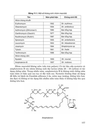 157
B¶ng 11.1. Mét sè kh¸ng sinh nhãm macrolid
Tªn N¨m ph¸t hiÖn Chñng sinh KS
Nhãm kh¸ng khuÈn
Erythromycin 1952 Str. erythreus
Oleandomycin 1954 Str. antibioticus
Azithromycin (Zithromax®) 1980 B¸n tæng hîp
Clarithromycin (Clacid®) 197? B¸n tæng hîp
Roxithromycin (Rulid®) 1987 B¸n tæng hîp
Spiramycin 1955 Str. ambefaciens
Leucomycin 1953 Str. kitasatoensis
Josamycin 1964 Streptomyces sp.
Tylosin 1961 Str. fradie
Terithromycin 1998 B¸n tæng hîp
Nhãm kh¸ng nÊm
Nystatin 1955 Str. noursei
Amphotericin B 1957 Str. nodosus
Nhãm macrolid kh¸ng nÊm (cÊu tróc polyen): Cã tμi liÖu xÕp nystatin vμ
amphotericin B vμo nhãm kh¸ng sinh ®¹i lacton (chøa 26 – 38 carbon) cã t¸c
dông chèng nÊm. Trong nhiÒu n¨m, amphotericin B lμ kh¸ng sinh chèng nÊm
toμn th©n cã hiÖu qu¶ cao tuy cã ®éc tÝnh cao. Nystatin th−êng ®−îc sö dông
®Ó ®iÒu trÞ bÖnh do Candida albicans ë da, niªm m¹c (miÖng, ®−êng tiªu ho¸,
©m ®¹o) vμ kh«ng cã t¸c dông khi nhiÔm nÊm toμn th©n v× kh«ng hÊp thu qua
®−êng tiªu ho¸.
Amphotericin
 