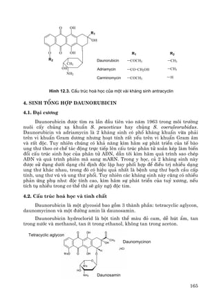 165
R1 R2
COCH3 CH3
CO CH2OH CH3
COCH3 H
Daunorubicin
Adriamycin
Carminomycin
O O
O
R2
OH
OH
OH
R1
CH3
OH
NH2
H×nh 12.3. CÊu tróc ho¸ häc cña mét vµi kh¸ng sinh antracyclin
4. Sinh tæng hîp Daunorubicin
4.1. §¹i c−¬ng
Daunorubicin ®−îc t×m ra lÇn ®Çu tiªn vμo n¨m 1963 trong m«i tr−êng
nu«i cÊy chñng x¹ khuÈn S. peuceticus hay chñng S. coeruleorubidus.
Daunorubicin vμ adriamycin lμ 2 kh¸ng sinh cã phæ kh¸ng khuÈn võa ph¶i
trªn vi khuÈn Gram d−¬ng nh−ng ho¹t tÝnh rÊt yÕu trªn vi khuÈn Gram ©m
vμ rÊt ®éc. Tuy nhiªn chóng cã kh¶ n¨ng k×m h·m sù ph¸t triÓn cña tÕ bμo
ung th− theo c¬ chÕ t¸c ®éng trùc tiÕp lªn cÊu tróc ph©n tö xo¾n kÐp lμm biÕn
®æi cÊu tróc sinh häc cña ph©n tö ADN, dÉn tíi k×m h·m qu¸ tr×nh sao chÐp
ADN vμ qu¸ tr×nh phiªn m· sang mARN. Trong y häc, c¶ 2 kh¸ng sinh nμy
®−îc sö dông d−íi d¹ng chØ ®Þnh ®éc lËp hay phèi hîp ®Ó ®iÒu trÞ nhiÒu d¹ng
ung th− kh¸c nhau, trong ®ã cã hiÖu qu¶ nhÊt lμ bÖnh ung th− b¹ch cÇu cÊp
tÝnh, ung th− vó vμ ung th− phæi. Tuy nhiªn c¸c kh¸ng sinh nμy còng cã nhiÒu
ph¶n øng phô nh−: ®éc tÝnh cao, k×m h·m sù ph¸t triÓn cña tuû x−¬ng, nÕu
tÝch tô nhiÒu trong c¬ thÓ th× sÏ g©y ngé ®éc tim.
4.2. CÊu tróc ho¸ häc vμ tÝnh chÊt
Daunorubicin lμ mét glycosid bao gåm 3 thμnh phÇn: tetracyclic aglycon,
daunomycinon vμ mét ®−êng amin lμ daunosamin.
Daunorubicin hydroclorid lμ bét tinh thÓ mμu ®á cam, dÔ hót Èm, tan
trong n−íc vμ methanol, tan Ýt trong ethanol, kh«ng tan trong aceton.
Daunomycinon
Daunosamin
Tetracyclic aglycon
 