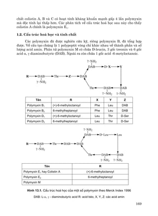 169
chÊt colistin A, B vμ C cã ho¹t tÝnh kh¸ng khuÈn m¹nh gÊp 4 lÇn polymyxin
mμ ®éc tÝnh l¹i thÊp h¬n. C¸c ph©n tÝch vÒ cÊu tróc ho¸ häc sau nμy cho thÊy
colistin A chÝnh lμ polymyxin E1.
1.2. CÊu tróc ho¸ häc vμ tÝnh chÊt
C¸c polymyxin ®· ®−îc nghiªn cøu kü, riªng polymyxin B, ®· tæng hîp
®−îc. VÒ cÊu t¹o chóng lμ 1 polypeptit vßng chØ kh¸c nhau vÒ thμnh phÇn vμ sè
l−îng acid amin. Ph©n tö polymyxin M cã chøa D-leucin, 3 gèc treonin vμ 6 gèc
acid α, γ diaminobutyric (DAB). Ngoμi ra cßn chøa 1 gèc acid -6-metyloctanoic.
γ
Thr DAB
NH2
DAB
YXDDAB
DABZ
γ NH2
ThrDABR
NH2
γ
NH2
γ
Tªn R X Y Z
Polymyxin B1 (+)-6-methyloctanoyl Phe Leu DAB
Polymyxin B2 6-methylheptanoyl Phe Leu DAB
Polymyxin D1 (+)-6-methyloctanoyl Leu Thr D-Ser
Polymyxin D2 6-methylheptanoyl Leu Thr D-Ser
Thr DAB
NH2
DAB
LeuLeuDDAB
DABDAB
γ NH2
ThrDABR
NH2γ
NH2
γ
γ
Tªn R
Polymyxin E1 hay Colistin A (+)-6-methyloctanoyl
Polymyxin E2 6-methylheptanoyl
Polymyxin M
H×nh 13.1. CÊu tróc ho¸ häc cña mét sè polymyxin theo Merck Index 1996
DAB: L-α, γ - diaminobutyric acid R: acid bÐo, X, Y, Z: c¸c acid amin
 
