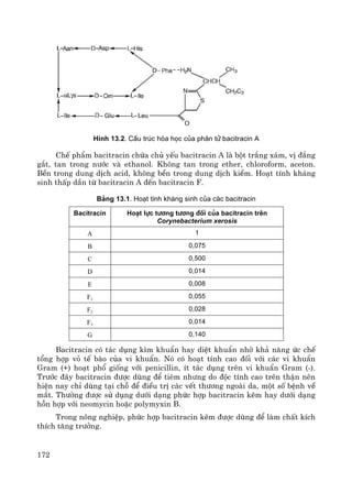 172
H×nh 13.2. CÊu tróc hãa häc cña ph©n tö bacitracin A
ChÕ phÈm bacitracin chøa chñ yÕu bacitracin A lμ bét tr¾ng x¸m, vÞ ®¾ng
g¾t, tan trong n−íc vμ ethanol. Kh«ng tan trong ether, chloroform, aceton.
BÒn trong dung dÞch acid, kh«ng bÒn trong dung dÞch kiÒm. Ho¹t tÝnh kh¸ng
sinh thÊp dÇn tõ bacitracin A ®Õn bacitracin F.
B¶ng 13.1. Ho¹t tÝnh kh¸ng sinh cña c¸c bacitracin
Bacitracin Ho¹t lùc t−¬ng t−¬ng ®èi cña bacitracin trªn
Corynebacterium xerosis
A 1
B 0,075
C 0,500
D 0,014
E 0,008
F1
0,055
F2
0,028
F3
0,014
G 0,140
Bacitracin cã t¸c dông k×m khuÈn hay diÖt khuÈn nhê kh¶ n¨ng øc chÕ
tæng hîp vá tÕ bμo cña vi khuÈn. Nã cã ho¹t tÝnh cao ®èi víi c¸c vi khuÈn
Gram (+) ho¹t phæ gièng víi penicillin, Ýt t¸c dông trªn vi khuÈn Gram (-).
Tr−íc ®©y bacitracin ®−îc dïng ®Ó tiªm nh−ng do ®éc tÝnh cao trªn thËn nªn
hiÖn nay chØ dïng t¹i chç ®Ó ®iÒu trÞ c¸c vÕt th−¬ng ngoμi da, mét sè bÖnh vÒ
m¾t. Th−êng ®−îc sö dông d−íi d¹ng phøc hîp bacitracin kÏm hay d−íi d¹ng
hçn hîp víi neomycin hoÆc polymyxin B.
Trong n«ng nghiÖp, phøc hîp bacitracin kÏm ®−îc dïng ®Ó lμm chÊt kÝch
thÝch t¨ng tr−ëng.
 