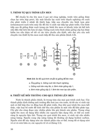 36
7. Tr×nh tù qu¸ tr×nh lªn men
§Ó chuÈn bÞ cho lªn men ë qui m« c«ng nghiÖp, tr−íc tiªn gièng ®−îc
chän läc trªn hép petri, lÊy mét khuÈn l¹c nu«i trªn th¹ch nghiªng råi nu«i
cho ph¸t triÓn ë nhiÖt ®é thÝch hîp, tiÕp sau chuyÒn vμo b×nh tam gi¸c
(erlanmayer) nu«i trªn m¸y l¾c ®Ó cho vi sinh vËt tiÕp tôc ph¸t triÓn. C¸c b−íc
tiÕp sau ®ã gièng ®−îc nu«i trong c¸c b×nh lªn men cã khuÊy trén tõ thÓ tÝch
nhá ®Õn thÓ tÝch lín h¬n (2 cÊp). Gièng nu«i trªn b×nh nh©n gièng cÊp hai ®−îc
kiÓm tra cÈn thËn vÒ tÊt c¶ c¸c tiªu chuÈn cÇn thiÕt, nÕu ®¹t yªu cÇu míi
chuyÒn vμo thiÕt bÞ lªn men nu«i tiÕp ®Ó thu s¶n phÈm (h×nh 3.9).
H×nh 3.9. S¬ ®å qu¸ tr×nh chuÈn bÞ gièng ®Ó lªn men
a. èng gièng; b. Gièng nu«i trªn th¹ch nghiªng;
c. Gièng nu«i trªn m¸y l¾c; d. B×nh nh©n gièng cÊp 1;
e. B×nh nh©n gièng cÊp 2; f. B×nh lªn men t¹o s¶n phÈm.
8. ThiÕt kÕ m«i tr−êng cho qu¸ tr×nh lªn men
N−íc lμ thμnh phÇn chÝnh, lμ trung t©m cña mäi qu¸ tr×nh sinh häc. C¸c
thμnh phÇn dinh d−ìng m«i tr−êng ®Òu hoμ tan vμo n−íc, tõ ®ã c¸c vi sinh vËt
míi cã thÓ hÊp thu vμ ®ång ho¸ ®Ó ph¸t triÓn. Sau khi qu¸ tr×nh lªn men kÕt
thóc, viÖc lo¹i bá n−íc ®Ó tinh chÕ thu s¶n phÈm lμ mét vÊn ®Ò kh¸ phøc t¹p.
Chi phÝ cho c«ng ®o¹n nμy chiÕm phÇn lín gi¸ thμnh s¶n phÈm. Trong c«ng
nghÖ lªn men sö dông kh¸ nhiÒu c¸c nguyªn liÖu d¹ng th«, cã thÓ coi n−íc
còng lμ nguyªn liÖu th«. Trong c¸c qu¸ tr×nh lªn men, vi sinh vËt cÇn nhiÒu
n¨ng l−îng. Nguån cung cÊp n¨ng l−îng ®ã th−êng sö dông hydrat carbon.
Nguån nit¬ ®Ó x©y dùng nªn c¸c thμnh phÇn cña c¬ thÓ, trong ®ã cã d¹ng nit¬
v« c¬ vμ nit¬ h÷u c¬, c¸c nguyªn tè v« c¬ (b¶ng 3.5).
 