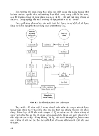 48
M«i tr−êng lªn men còng bao gåm c¸c chÊt cung cÊp n¨ng l−îng nh−
hydrat carbon, nguån nit¬, m«i tr−êng ®−îc khö trïng trong thiÕt bÞ lªn men,
sau ®ã truyÒn gièng vμ tiÕn hμnh lªn men tõ 30 - 150 giê tuú theo chñng vi
sinh vËt. C«ng nghiÖp s¶n xuÊt th−êng sö dông thiÕt bÞ tõ 10 - 50 m3
.
Enzym th−¬ng phÈm ®−îc s¶n xuÊt d−íi hai d¹ng: d¹ng bét kh« vμ d¹ng
láng, cã thÓ lμ d¹ng th« hoÆc d¹ng tinh khiÕt (h×nh 4.3).
H×nh 4.3. S¬ ®å chiÕt xuÊt vµ tinh chÕ enzym
Tuy nhiªn, dï s¶n xuÊt ë d¹ng nμo ®i n÷a nÕu c¸c enzym ®ã sö dông
trong thùc phÈm hay y häc ®Òu ph¶i thö ®éc tÝnh cña chóng råi míi cho phÐp
dïng. Trªn thùc tÕ ®Ó s¶n xuÊt enzym cã ®é an toμn cao cÇn chän nh÷ng vi
sinh vËt kh«ng t¹o ra ®éc tè, ®ång thêi nguyªn liÖu dïng s¶n xuÊt còng l−u ý
®Õn viÖc cã t¹o ra ®éc tè hay kh«ng. VÝ dô, nÕu nu«i Aspergillus flavus trªn
m«i tr−êng cã kh« l¹c, hay bét l¹c nhÊt ®Þnh sÏ t¹o ra aflatoxin lμ chÊt g©y ung
th− gan.
 