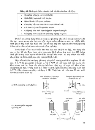 51
a. B×nh ph¶n øng cã khuÊy trén
b. C¸c b×nh ph¶n øng liªn
tôc d¹ng kÝn
B¶ng 4.6. Nh÷ng −u ®iÓm cña c¸c chÊt xóc t¸c sinh häc bÊt ®éng
• Cho phÐp sö dông enzym nhiÒu lÇn
• Cã thÓ tiÕn hµnh qu¸ tr×nh liªn tôc
• S¶n phÈm lµ nh÷ng enzym tù do
• Cho phÐp kiÓm tra chÆt chÏ h¬n qu¸ tr×nh xóc t¸c
• C¶i thiÖn ®−îc ®é æn ®Þnh cña enzym
• Cho phÐp ph¸t triÓn hÖ thèng ph¶n øng nhiÒu enzym
• Cung cÊp tiÒm n¨ng to lín cho c«ng nghiÖp vµ y häc.
Do kÕt qu¶ øng dông thμnh c«ng c¸c ph−¬ng ph¸p bÊt ®éng enzym vμ tÕ
bμo t¹o ra c¸c nang, c¸c h¹t, c¸c cét vμ c¸c mμng chøa c¸c enzym, nhiÒu kiÓu
b×nh ph¶n øng sinh häc ®−îc chÕ t¹o ®Ó ®¸p øng cho nghiªn cøu trong phßng
thÝ nghiÖm còng nh− trong s¶n xuÊt c«ng nghiÖp.
Trªn thùc tÕ c¸c ®Æc ®iÓm xóc t¸c cóa c¸c enzym c« lËp, bÊt ®éng c¸c
enzym hay tÕ bμo ®−îc thùc hiÖn trong c¸c b×nh ph¶n øng sinh häc. HÖ thèng
b×nh ph¶n øng sinh häc cã nhiÒu kiÓu d¸ng kh¸c nhau, nã phô thuéc vμo kiÓu
ph¶n øng vμ ®é æn ®Þnh cña c¸c enzym (h×nh 4.2).
Mét sè n−íc ®· sö dông ph−¬ng ph¸p bÊt ®éng penicillin-acylase ®Ó s¶n
xuÊt 6-APA tõ penicillin G hoÆc V. Tõ 6-APA cã thÓ thay thÕ c¸c m¹ch bªn
kh¸c nhau mμ thu ®−îc c¸c kh¸ng sinh b¸n tæng hîp cã ho¹t phæ kh¸c nhau
dïng trong y häc. Trung b×nh mçi n¨m toμn thÕ giíi s¶n xuÊt kho¶ng 5000 tÊn
6-APA. Glucoisomease ®−îc sö dông ë MÜ, NhËt b¶n vμ ch©u ¢u ®Ó s¶n xuÊt
siro fructose tõ tinh bét.
 