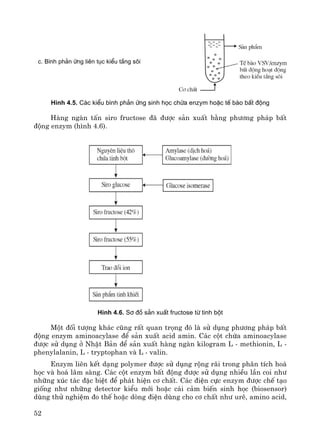52
H×nh 4.5. C¸c kiÓu b×nh ph¶n øng sinh häc chøa enzym hoÆc tÕ bµo bÊt ®éng
Hμng ngμn tÊn siro fructose ®· ®−îc s¶n xuÊt b»ng ph−¬ng ph¸p bÊt
®éng enzym (h×nh 4.6).
H×nh 4.6. S¬ ®å s¶n xuÊt fructose tõ tinh bét
Mét ®èi t−îng kh¸c còng rÊt quan träng ®ã lμ sö dông ph−¬ng ph¸p bÊt
®éng enzym aminoacylase ®Ó s¶n xuÊt acid amin. C¸c cét chøa aminoacylase
®−îc sö dông ë NhËt B¶n ®Ó s¶n xuÊt hμng ngμn kilogram L - methionin, L -
phenylalanin, L - tryptophan vμ L - valin.
Enzym liªn kÕt d¹ng polymer ®−îc sö dông réng r·i trong ph©n tÝch ho¸
häc vμ ho¸ l©m sμng. C¸c cét enzym bÊt ®éng ®−îc sö dông nhiÒu lÇn coi nh−
nh÷ng xóc t¸c ®Æc biÖt ®Ó ph¸t hiÖn c¬ chÊt. C¸c ®iÖn cùc enzym ®−îc chÕ t¹o
gièng nh− nh÷ng detector kiÓu míi hoÆc c¸i c¶m biÕn sinh häc (biosensor)
dïng thö nghiÖm ®o thÕ hoÆc dßng ®iÖn dïng cho c¬ chÊt nh− urª, amino acid,
c. B×nh ph¶n øng liªn tôc kiÓu tÇng s«i
 