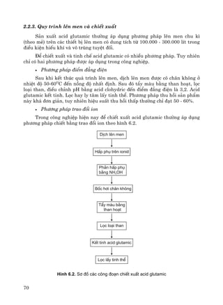 70
2.2.3. Quy tr×nh lªn men vμ chiÕt xuÊt
S¶n xuÊt acid glutamic th−êng ¸p dông ph−¬ng ph¸p lªn men chu k×
(theo mÎ) trªn c¸c thiÕt bÞ lªn men cã dung tÝch tõ 100.000 - 300.000 lÝt trong
®iÒu kiÖn hiÕu khÝ vμ v« trïng tuyÖt ®èi.
§Ó chiÕt xuÊt vμ tinh chÕ acid glutamic cã nhiÒu ph−¬ng ph¸p. Tuy nhiªn
chØ cã hai ph−¬ng ph¸p ®−îc ¸p dông trong c«ng nghiÖp.
• Ph−¬ng ph¸p ®iÓm ®¼ng ®iÖn
Sau khi kÕt thóc qu¸ tr×nh lªn men, dÞch lªn men ®−îc c« ch©n kh«ng ë
nhiÖt ®é 50-60O
C ®Õn nång ®é nhÊt ®Þnh. Sau ®ã tÈy mμu b»ng than ho¹t, läc
lo¹i than, ®iÒu chØnh pH b»ng acid clohydric ®Õn ®iÓm ®¼ng ®iÖn lμ 3,2. Acid
glutamic kÕt tinh. Läc hay ly t©m lÊy tinh thÓ. Ph−¬ng ph¸p thu håi s¶n phÈm
nμy kh¸ ®¬n gi¶n, tuy nhiªn hiÖu suÊt thu håi thÊp th−êng chØ ®¹t 50 - 60%.
• Ph−¬ng ph¸p trao ®æi ion
Trong c«ng nghiÖp hiÖn nay ®Ó chiÕt xuÊt acid glutamic th−êng ¸p dông
ph−¬ng ph¸p chiÕt b»ng trao ®æi ion theo h×nh 6.2.
H×nh 6.2. S¬ ®å c¸c c«ng ®o¹n chiÕt xuÊt acid glutamic
 