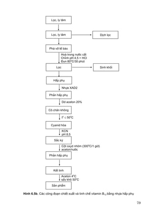 79
H×nh 6.5b. C¸c c«ng ®o¹n chiÕt xuÊt vµ tinh chÕ vitamin B12 b»ng nhùa hÊp phô
Läc, ly t©m
Ph¸ vì tÕ bµo
Läc
HÊp phô
Ph¶n hÊp phô
C« ch©n kh«ng
Cyanid hãa
S¾c ký
Ph¶n hÊp phô
KÕt tinh
S¶n phÈm
DÞch läc
Sinh khèi
Hoµ trong n−íc cÊt
ChØnh pH 4,5 = HCl
§un 800
C/30 phót
Nhùa XAD2
KCN
pH 8,5
Cét oxyd nh«m (3000
C/1 giê)
aceton/n−íc
Aceton 40
C
sÊy kh« 500
C
Läc, ly t©m
Dd aceton 20%
t0
≤ 500
C
 