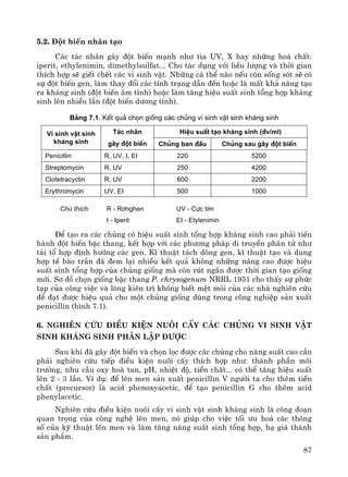 87
5.2. §ét biÕn nh©n t¹o
C¸c t¸c nh©n g©y ®ét biÕn m¹nh nh− tia UV, X hay nh÷ng ho¸ chÊt:
iperit, ethylenimin, dimethylsulfat... Cho t¸c dông víi liÒu l−îng vμ thêi gian
thÝch hîp sÏ giÕt chÕt c¸c vi sinh vËt. Nh÷ng c¸ thÓ nμo nÕu cßn sèng sãt sÏ cã
sù ®ét biÕn gen, lμm thay ®æi c¸c tÝnh tr¹ng dÉn ®Õn hoÆc lμ mÊt kh¶ n¨ng t¹o
ra kh¸ng sinh (®ét biÕn ©m tÝnh) hoÆc lμm t¨ng hiÖu suÊt sinh tæng hîp kh¸ng
sinh lªn nhiÒu lÇn (®ét biÕn d−¬ng tÝnh).
B¶ng 7.1. KÕt qu¶ chän gièng c¸c chñng vi sinh vËt sinh kh¸ng sinh
HiÖu suÊt t¹o kh¸ng sinh (®v/ml)Vi sinh vËt sinh
kh¸ng sinh
T¸c nh©n
g©y ®ét biÕn Chñng ban ®Çu Chñng sau g©y ®ét biÕn
Penicillin R, UV, I, EI 220 5200
Streptomycin R, UV 250 4200
Clotetracyclin R, UV 600 2200
Erythromycin UV, EI 500 1000
Chó thÝch: R - R¬nghen UV - Cùc tÝm
I - Iperit EI - Etylenimin
§Ó t¹o ra c¸c chñng cã hiÖu suÊt sinh tæng hîp kh¸ng sinh cao ph¶i tiÕn
hμnh ®ét biÕn bËc thang, kÕt hîp víi c¸c ph−¬ng ph¸p di truyÒn ph©n tö nh−
t¸i tæ hîp ®Þnh h−íng c¸c gen. KÜ thuËt t¸ch dßng gen, kÜ thuËt t¹o vμ dung
hîp tÕ bμo trÇn ®· ®em l¹i nhiÒu kÕt qu¶ kh«ng nh÷ng n©ng cao ®−îc hiÖu
suÊt sinh tæng hîp cña chñng gièng mμ cßn rót ng¾n ®−îc thêi gian t¹o gièng
míi. S¬ ®å chän gièng bËc thang P. chrysogenum NRRL 1951 cho thÊy sù phøc
t¹p cña c«ng viÖc vμ lßng kiªn tr× kh«ng biÕt mÖt mái cña c¸c nhμ nghiªn cøu
®Ó ®¹t ®−îc hiÖu qu¶ cho mét chñng gièng dïng trong c«ng nghiÖp s¶n xuÊt
penicillin (h×nh 7.1).
6. Nghiªn cøu ®iÒu kiÖn nu«i cÊy c¸c chñng vi sinh vËt
sinh kh¸ng sinh ph©n lËp ®−îc
Sau khi ®· g©y ®ét biÕn vμ chän läc ®−îc c¸c chñng cho n¨ng suÊt cao cÇn
ph¶i nghiªn cøu tiÕp ®iÒu kiÖn nu«i cÊy thÝch hîp nh−: thμnh phÇn m«i
tr−êng, nhu cÇu oxy hoμ tan, pH, nhiÖt ®é, tiÒn chÊt... cã thÓ t¨ng hiÖu suÊt
lªn 2 - 3 lÇn. VÝ dô: ®Ó lªn men s¶n xuÊt penicillin V ng−êi ta cho thªm tiÒn
chÊt (precursor) lμ acid phenoxyacetic, ®Ó t¹o penicillin G cho thªm acid
phenylacetic.
Nghiªn cøu ®iÒu kiÖn nu«i cÊy vi sinh vËt sinh kh¸ng sinh lμ c«ng ®o¹n
quan träng cña c«ng nghÖ lªn men, nã gióp cho viÖc tèi −u ho¸ c¸c th«ng
sè cña kü thuËt lªn men vμ lμm t¨ng n¨ng suÊt sinh tæng hîp, h¹ gi¸ thμnh
s¶n phÈm.
 