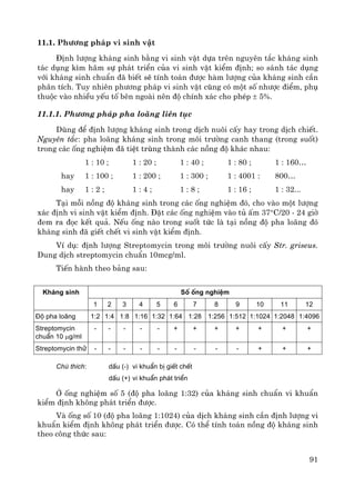 91
11.1. Ph−¬ng ph¸p vi sinh vËt
§Þnh l−îng kh¸ng sinh b»ng vi sinh vËt dùa trªn nguyªn t¾c kh¸ng sinh
t¸c dông k×m h·m sù ph¸t triÓn cña vi sinh vËt kiÓm ®Þnh; so s¸nh t¸c dông
víi kh¸ng sinh chuÈn ®· biÕt sÏ tÝnh to¸n ®−îc hμm l−îng cña kh¸ng sinh cÇn
ph©n tÝch. Tuy nhiªn ph−¬ng ph¸p vi sinh vËt còng cã mét sè nh−îc ®iÓm, phô
thuéc vμo nhiÒu yÕu tè bªn ngoμi nªn ®é chÝnh x¸c cho phÐp ± 5%.
11.1.1. Ph−¬ng ph¸p pha lo·ng liªn tôc
Dïng ®Ó ®Þnh l−îng kh¸ng sinh trong dÞch nu«i cÊy hay trong dÞch chiÕt.
Nguyªn t¾c: pha lo·ng kh¸ng sinh trong m«i tr−êng canh thang (trong suèt)
trong c¸c èng nghiÖm ®· tiÖt trïng thμnh c¸c nång ®é kh¸c nhau:
1 : 10 ; 1 : 20 ; 1 : 40 ; 1 : 80 ; 1 : 160…
hay 1 : 100 ; 1 : 200 ; 1 : 300 ; 1 : 4001 : 800…
hay 1 : 2 ; 1 : 4 ; 1 : 8 ; 1 : 16 ; 1 : 32...
T¹i mçi nång ®é kh¸ng sinh trong c¸c èng nghiÖm ®ã, cho vμo mét l−îng
x¸c ®Þnh vi sinh vËt kiÓm ®Þnh. §Æt c¸c èng nghiÖm vμo tñ Êm 37°C/20 - 24 giê
®em ra ®äc kÕt qu¶. NÕu èng nμo trong suèt tøc lμ t¹i nång ®é pha lo·ng ®ã
kh¸ng sinh ®· giÕt chÕt vi sinh vËt kiÓm ®Þnh.
VÝ dô: ®Þnh l−îng Streptomycin trong m«i tr−êng nu«i cÊy Str. griseus.
Dung dÞch streptomycin chuÈn 10mcg/ml.
TiÕn hμnh theo b¶ng sau:
Sè èng nghiÖmKh¸ng sinh
1 2 3 4 5 6 7 8 9 10 11 12
§é pha lo·ng 1:2 1:4 1:8 1:16 1:32 1:64 1:28 1:256 1:512 1:1024 1:2048 1:4096
Streptomycin
chuÈn 10 μg/ml
- - - - - + + + + + + +
Streptomycin thö - - - - - - - - - + + +
Chó thÝch: dÊu (-) vi khuÈn bÞ giÕt chÕt
dÊu (+) vi khuÈn ph¸t triÓn
ë èng nghiÖm sè 5 (®é pha lo·ng 1:32) cña kh¸ng sinh chuÈn vi khuÈn
kiÓm ®Þnh kh«ng ph¸t triÓn ®−îc.
Vμ èng sè 10 (®é pha lo·ng 1:1024) cña dÞch kh¸ng sinh cÇn ®Þnh l−îng vi
khuÈn kiÓm ®Þnh kh«ng ph¸t triÓn ®−îc. Cã thÓ tÝnh to¸n nång ®é kh¸ng sinh
theo c«ng thøc sau:
 