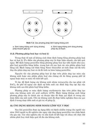 93
a b
H×nh 7.2. C¸c ph−¬ng ph¸p ®Þnh l−îng kh¸ng sinh
a. §Þnh l−îng kh¸ng sinh dïng ph−¬ng
ph¸p khoanh giÊy läc
b. §Þnh l−îng kh¸ng sinh dïng ph−¬ng
ph¸p ®ôc lç th¹ch
11.2. Ph−¬ng ph¸p ho¸ häc vμ ho¸ lý
Trong thùc tÕ mét sè kh¸ng sinh ®−îc ®Þnh l−îng b»ng ph−¬ng ph¸p ho¸
häc vμ ho¸ lý. ¦u ®iÓm cña ph−¬ng ph¸p nμy lμ thùc hiÖn nhanh, cho kÕt qu¶
ngay. §Ó ®Þnh l−îng penicillin b»ng ph−¬ng ph¸p ho¸ häc tiÕn hμnh nh− sau:
ph¸ huû penicillin b»ng kiÒm, trung hoμ råi oxy ho¸ c¸c s¶n phÈm ph©n huû
b»ng iod. §Þnh l−îng iod thõa b»ng Natri thiosulfat sÏ tÝnh ®−îc iod ®· tiªu
thô cho ph¶n øng oxy ho¸ vμ tõ ®ã tÝnh ra hμm l−îng penicillin.
Nguyªn t¾c cña ph−¬ng ph¸p ho¸ lý dùa trªn ph¶n øng t¹o mμu cña
kh¸ng sinh hoÆc s¶n phÈm ph©n huû cña chóng råi ®o b»ng quang phæ tö
ngo¹i hoÆc m¸y so mμu råi tÝnh kÕt qu¶.
VÝ dô: ®Ó ®Þnh l−îng c¸c kh¸ng sinh nhãm tetracyclin cho t¹o phøc víi
FeCl3; ®o phæ tö ngo¹i x¸c ®Þnh sù biÕn mÊt c¸c ®Ønh hÊp thô cùc ®¹i cña
kh¸ng sinh sau khi ph©n huû b»ng kiÒm.
Ph−¬ng ph¸p so mμu ®Þnh l−îng erythomycin dùa trªn ph¶n øng t¹o
mμu cña kh¸ng sinh víi acid sulfuric (27N). §Þnh l−îng kh¸ng sinh b»ng
ph−¬ng ph¸p nμo lμ chÝnh x¸c vμ thuËn tiÖn ®· ®−îc qui ®Þnh râ trong c¸c
d−îc ®iÓn cña mçi n−íc. ChØ c¸c kh¸ng sinh ®· ®−îc kiÓm nghiÖm theo c¸c qui
®Þnh ë trong d−îc ®iÓn míi cã gi¸ trÞ vÒ ph¸p lý.
12. øng dông kh¸ng sinh ngoμi lÜnh vùc y häc
Sau khi penicillin ®−îc ¸p dông ®iÒu trÞ bÖnh nhiÔm trïng cho ng−êi vμo
n¨m 1943 ng−êi ta ®· nghiªn cøu ngay viÖc øng dông penicillin vμo ch÷a bÖnh
cho gia sóc. C¸c nhμ nghiªn cøu vμ nhμ kinh tÕ kÕt hîp víi nhau rÊt chÆt chÏ
nh»m ph¸t huy tÝnh hiÖu qu¶ tèi ®a cña kh¸ng sinh.
 