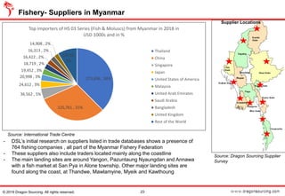 Fishery- Suppliers in Myanmar
Source: International Trade Centre
23© 2019 Dragon Sourcing. All rights reserved.
Source: Dragon Sourcing Supplier
Survey
Supplier Locations
- DSL’s initial research on suppliers listed in trade databases shows a presence of
764 fishing companies , all part of the Myanmar Fishery Federation
- These suppliers also include traders located mainly along the coastline
- The main landing sites are around Yangon, Pazuntaung Nyaungdan and Annawa
with a fish market at San Pya in Alone township. Other major landing sites are
found along the coast, at Thandwe, Mawlamyine, Myeik and Kawthoung
275,696 , 38%
225,761 , 31%
36,562 , 5%
24,612 , 3%
20,998 , 3%
19,452 , 3%
18,719 , 2%
16,422 , 2%
16,313 , 2%
14,908 , 2%
64728,
9%
Top Importers of HS 03 Series (Fish & Moluscs) from Myanmar in 2018 in
USD 1000s and in %
Thailand
China
Singapore
Japan
United States of America
Malaysia
United Arab Emirates
Saudi Arabia
Bangladesh
United Kingdom
Rest of the World
 