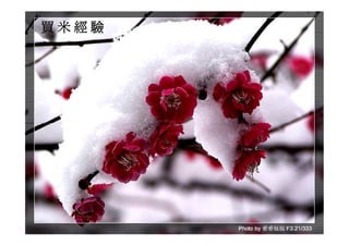 Ds 010 淺談運動器材設計