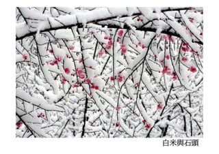 Ds 010 淺談運動器材設計