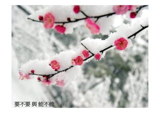 Ds 010 淺談運動器材設計