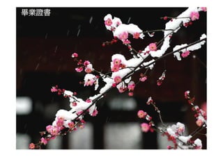 Ds 010 淺談運動器材設計