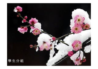 Ds 010 淺談運動器材設計