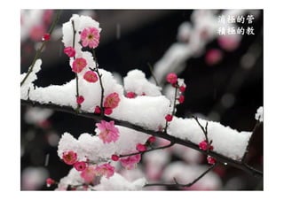 Ds 010 淺談運動器材設計