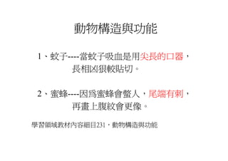 Ds 010 淺談運動器材設計