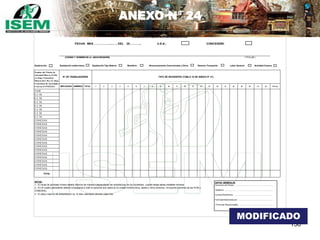 156
ANEXO N° 24
(CÓDIGO Y NOMBRE DE LA UEA/CONCESIÓN) ( TITULAR )
Exploración: Explotación subterránea: Explotación Tajo Abierto: Beneficio: Almacenamiento Concentrados y Otros Sistema Transporte: Labor General: Actividad Conexa:
EMPLEADOS OBREROS TOTAL 1 2 3 4 5 6 7 8 9 10 11 12 13 14 15 16 17 18 19 20 21 22 T OT A L
TAM:
E.C.M:
E.C.M:
E.C.M:
E.C.M:
E.C.M:
E.C.M:
E.C.M:
CONEXAS:
CONEXAS:
CONEXAS:
CONEXAS:
CONEXAS:
CONEXAS:
CONEXAS:
CONEXAS:
CONEXAS:
CONEXAS:
CONEXAS:
CONEXAS:
CONEXAS:
CONEXAS:
TOTAL
NOTAS.-
1.- El titular de actividad minera deberá informar de manera independiente las estadísticas de los Incidentes, cuando tenga varias unidades mineras.
3.- El plazo máximo de presentación es 10 días calendario vencido cada mes.
2.- En el cuadro precedente deberá consignarse a todo el personal que opera en la unidad minera (mina, planta y otros servicios, incluyendo personal de las ECM y
CONEXAS)
ANEXO N° 24
CUADRO ESTADÍSTICO DE INCIDENTES
FECHA: MES …….………......….. DEL 20………..., U.E.A.: CONCESIÓN:
N° DE TRABAJADORES TIPO DE INCIDENTES (TABLA 10 DE ANEXO N° 31)
Nombre del Titular de
Actividad Minera (TAM)
y/o Emp. Contratista
Minera (E.C.M.) y/o Emp.
Contratista de Actividades
Conexas (CONEXAS)
DATOS GENERALES
Direccion del Titular : ............................………………................
Teléfono: ...................................................................................
Correo Electrónico: ..................................................................
Formato Elaborado por : .............................................................
Firma del Responsable : ...........................................................
MODIFICADO
 