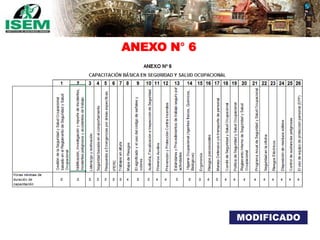 ANEXO N° 6
MODIFICADO
 