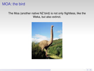 MOA: the bird
The Moa (another native NZ bird) is not only ﬂightless, like the
Weka, but also extinct.
16 / 26
 