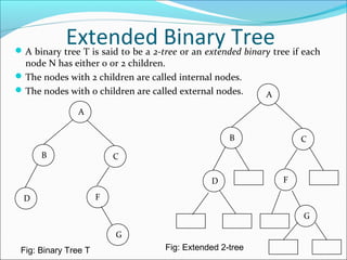 Data Structure and Algorithms Binary Tree | PPT