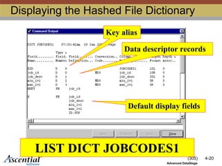 (305) 4-20
Advanced DataStage
Displaying the Hashed File Dictionary
LIST DICT JOBCODES1
Data descriptor records
Key alias
Default display fields
 