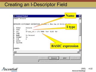 (305) 4-22
Advanced DataStage
Creating an I-Descriptor Field
BASIC expression
I type
Name
 