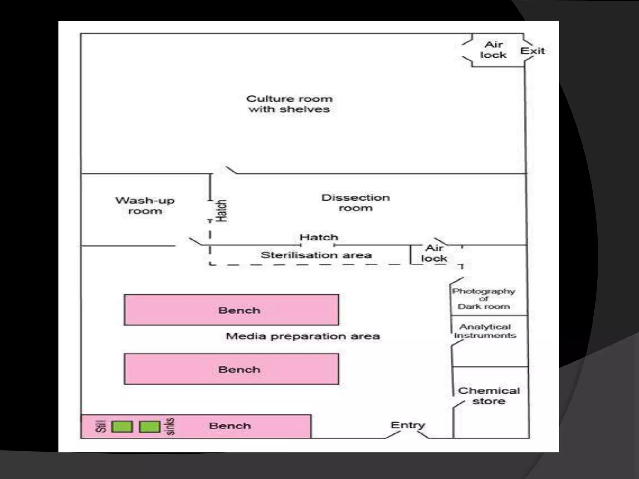 4068 plant tissue culture lab design | PPTX, image size:2048x1536