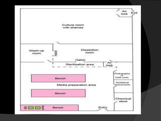Tissue Sample Collection Lab Design 4068 plant tissue culture lab design | PPTX