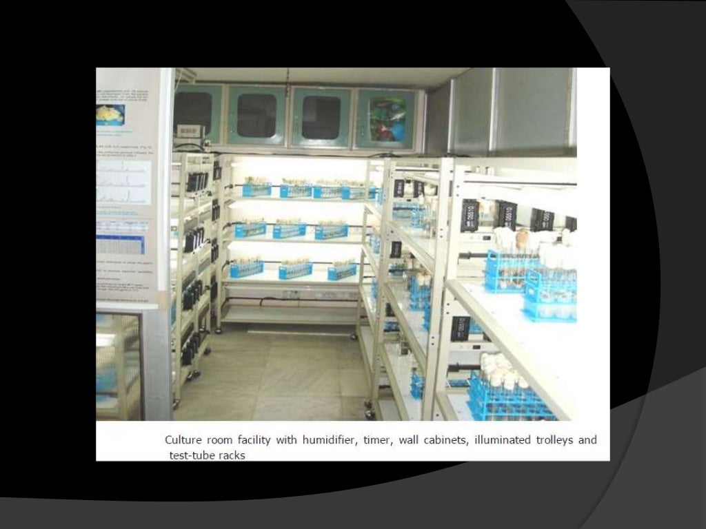 4068 plant tissue culture lab design